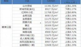 蓝山6期最新爆料新闻,揭秘神秘项目背后的惊人真相
